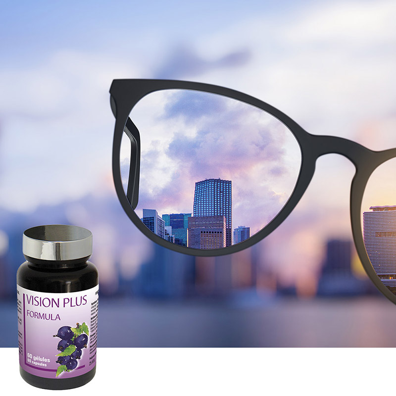 VISION PLUS VISION PLUS