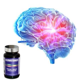 CERVOTONUS - Mémoire et concentration !