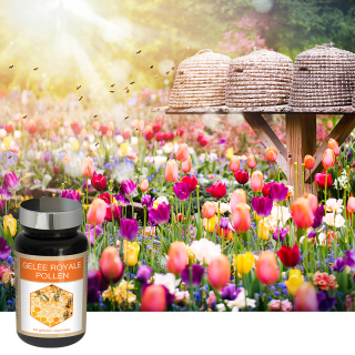 GELEE ROYALE POLLEN - Vitalité et défenses naturelles