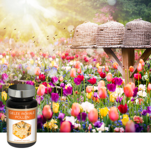 GELEE ROYALE POLLEN - Vitalité et défenses naturelles GELEE ROYALE POLLEN - Vitalité et défenses naturelles