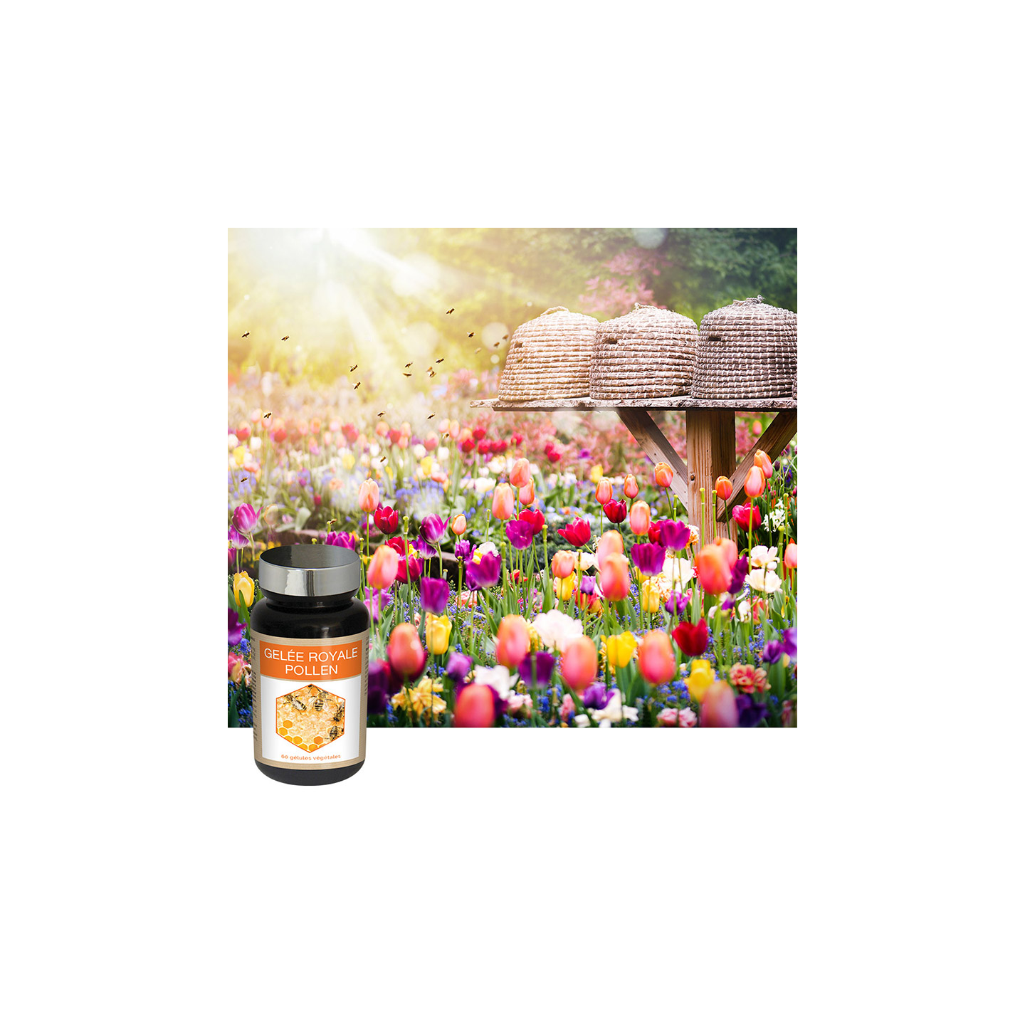 GELEE ROYALE POLLEN - Vitalité et défenses naturelles