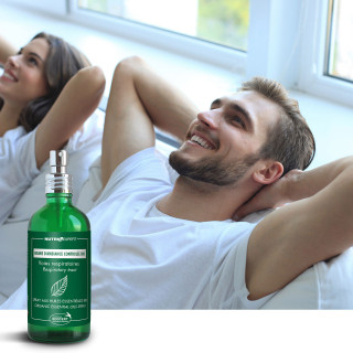 BRUME D'AMBIANCE CONTROLEE BIO