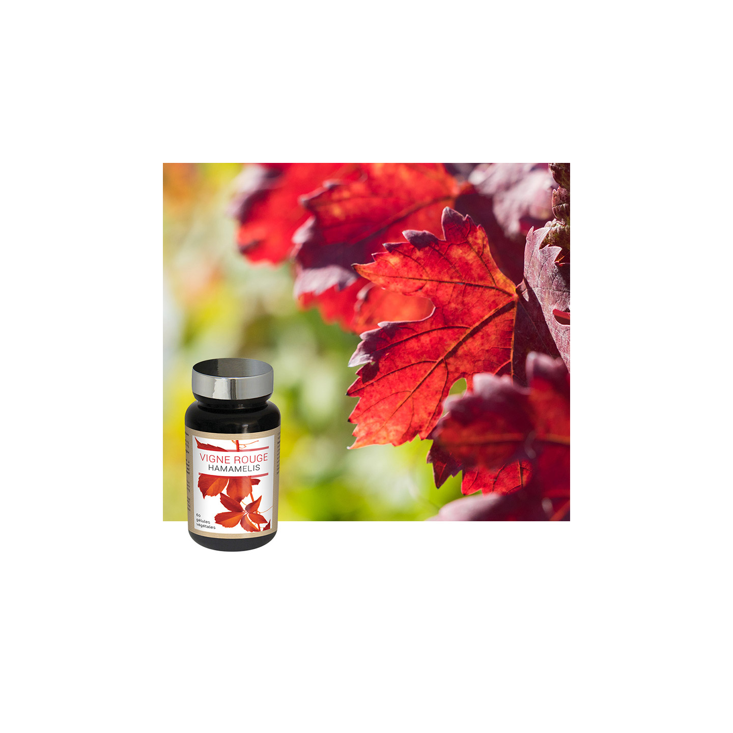 VIGNE ROUGE HAMAMELIS