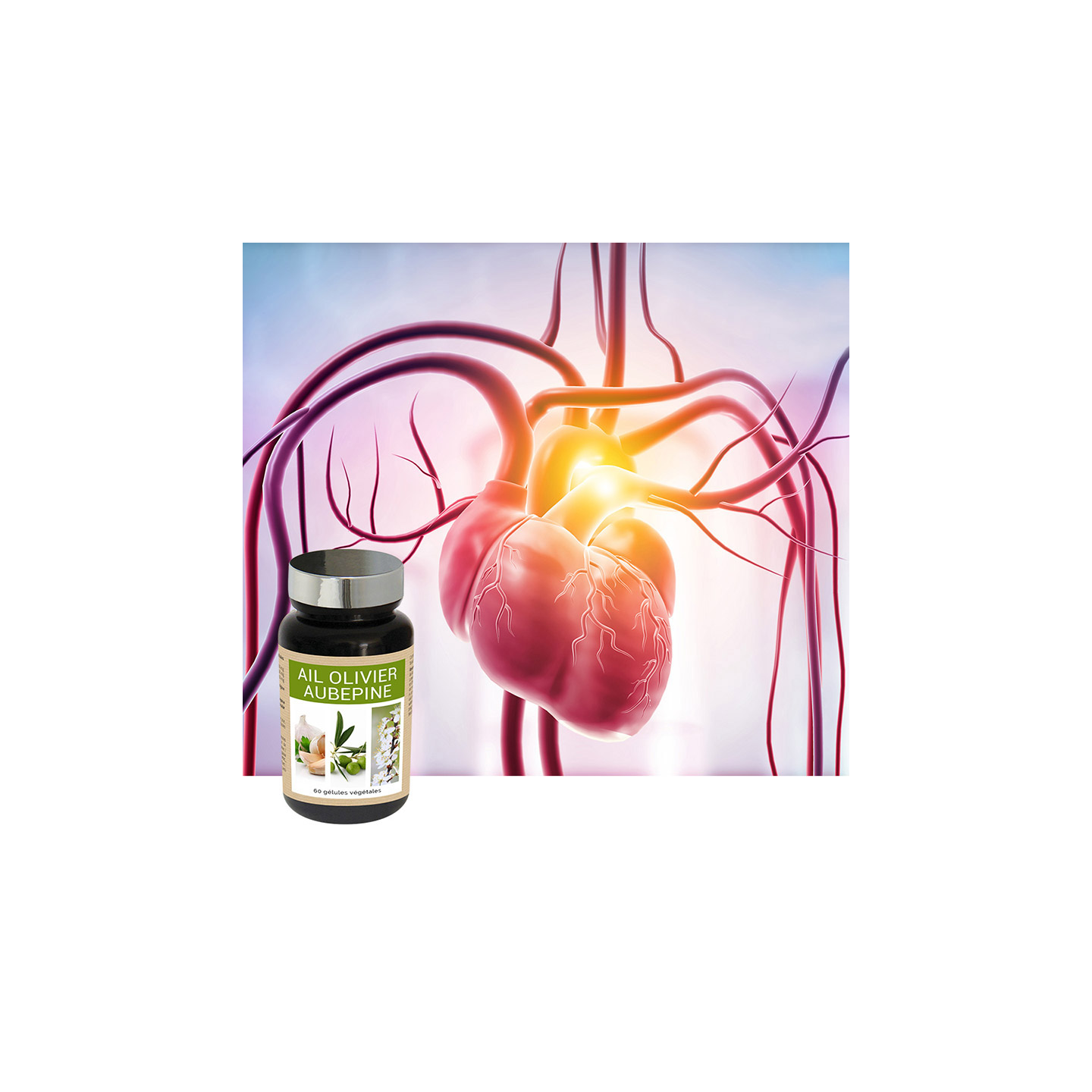 AIL OLIVIER AUBEPINE - L’allié de votre tension !