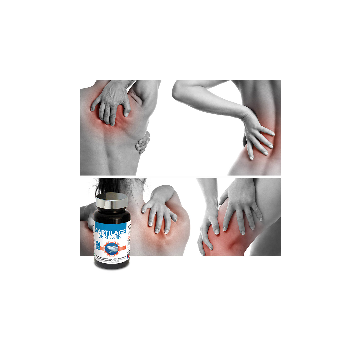 CARTILAGE DE REQUIN
