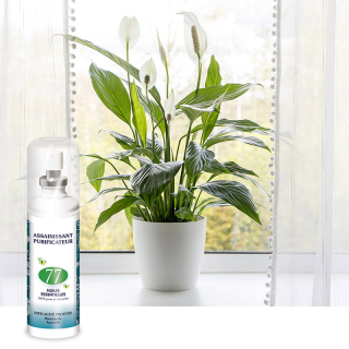 BRUM’AROMA aux 77 Huiles Essentielles