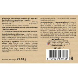 LEVURE DE BIERE LEVURE DE BIERE