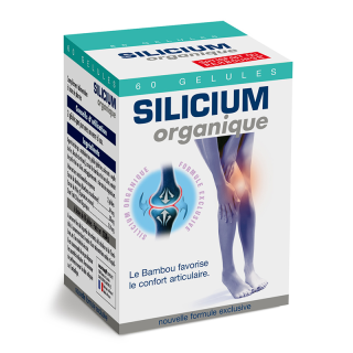 SILICIUM ORGANIQUE