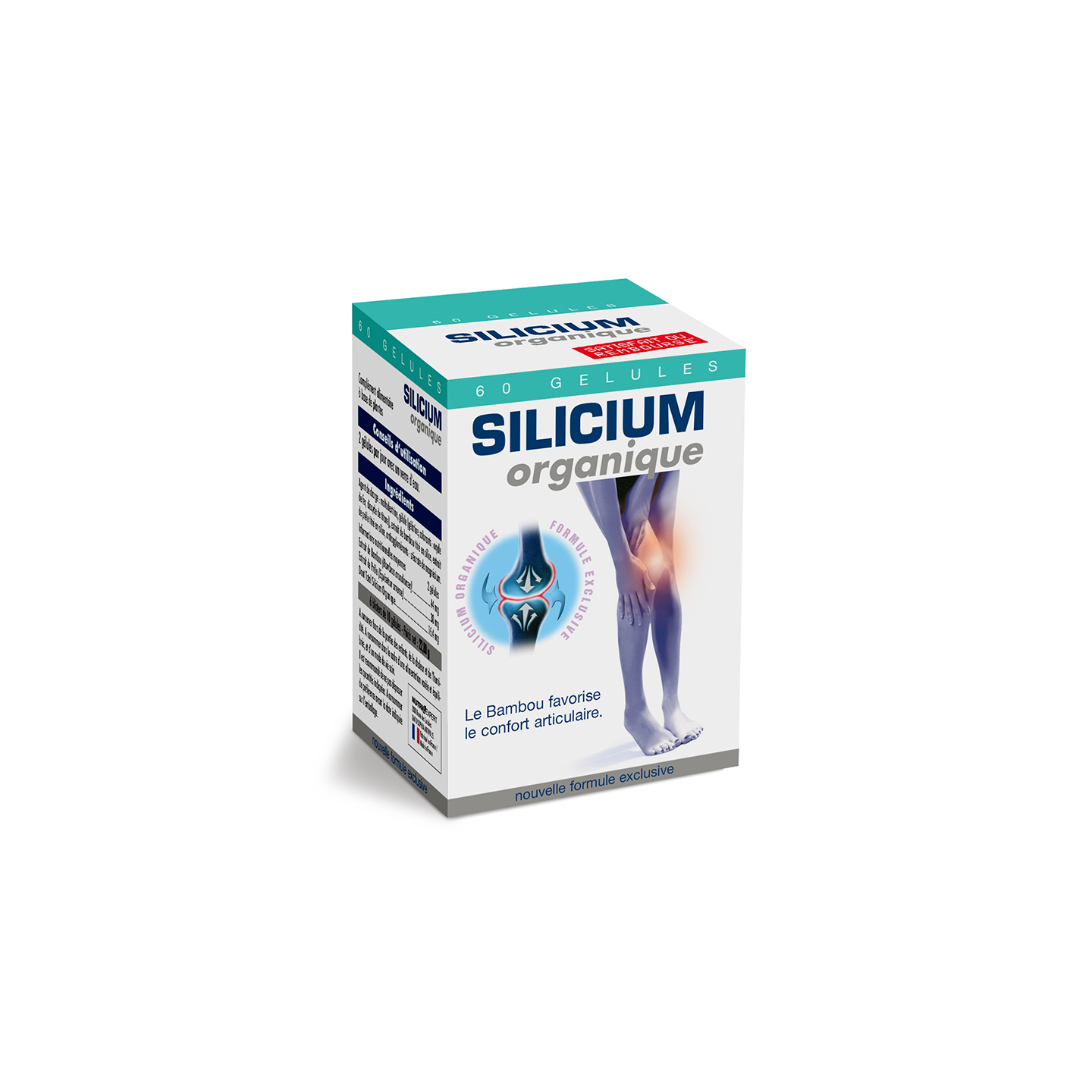 SILICIUM ORGANIQUE